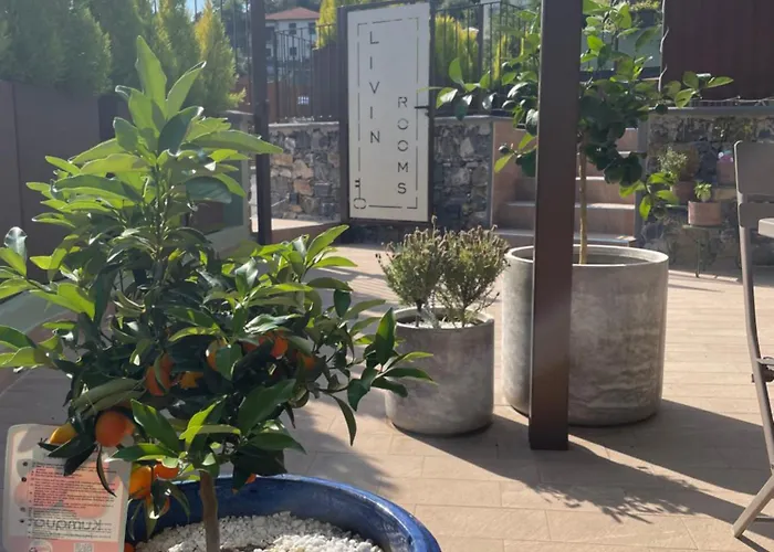 Livin' Πανσιόν Castiglione Chiavarese